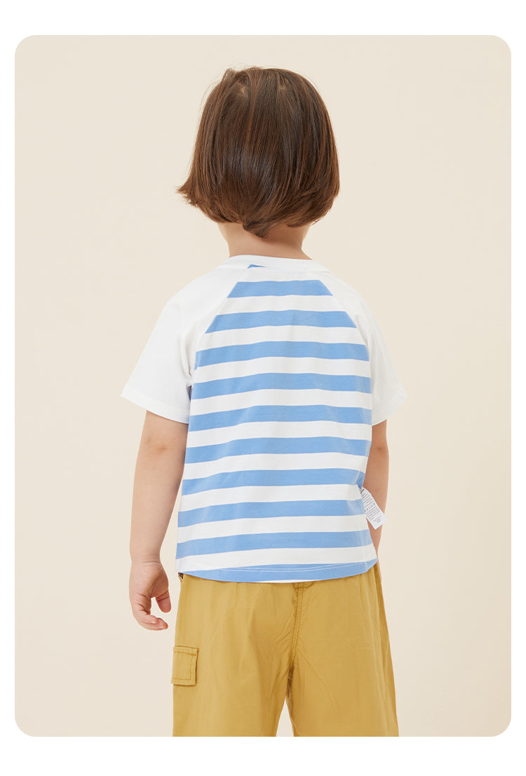 Boy's White Front, Blue and White Stripped Back T-shirt - CBeetle Koala Series