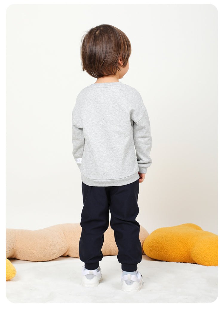 Boy's Light Gray Sweater with Circus Lion